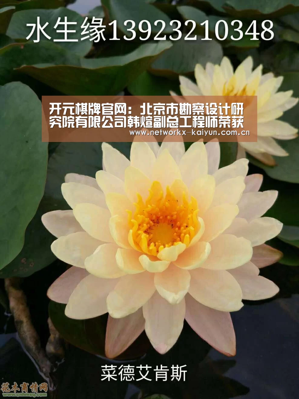 开元棋牌官网